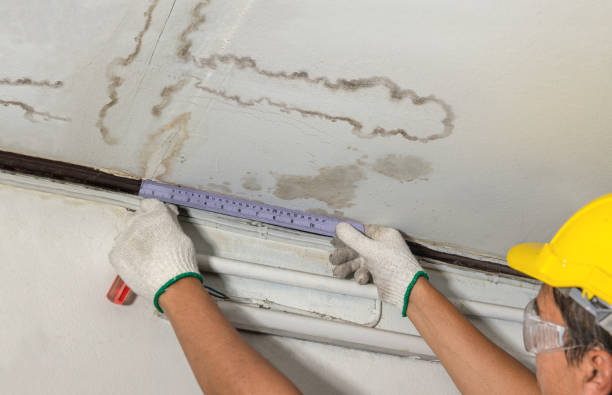 Reliable Mold Remediation contractor in High Point, NC by Local Water Damage Repair